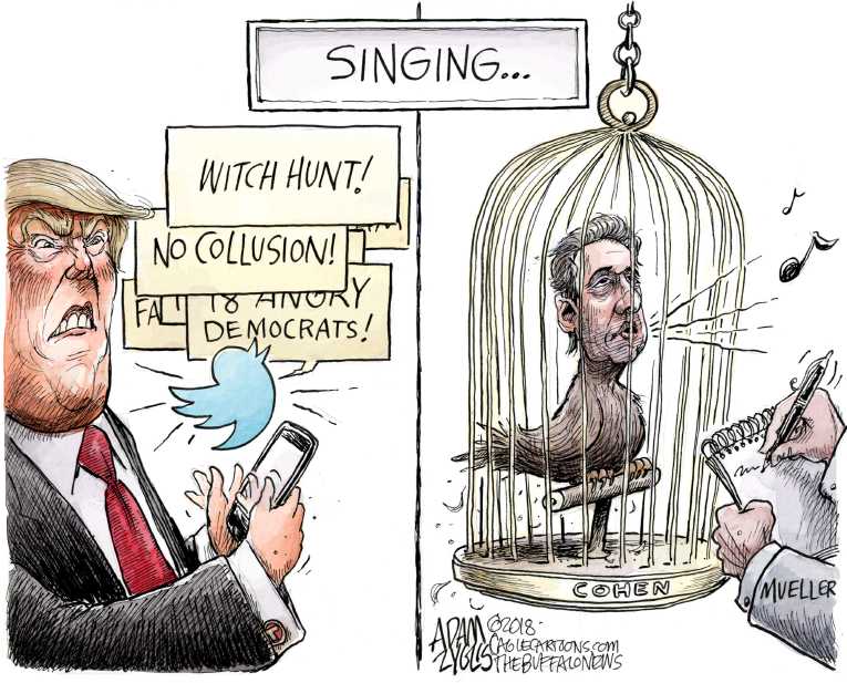 Political/Editorial Cartoon by Adam Zyglis, The Buffalo News on Trump Team Claims No Collusion