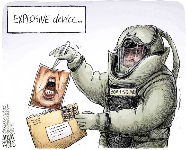 Political/Editorial Cartoon by Adam Zyglis, The Buffalo News on Bombing Suspect Apprehended