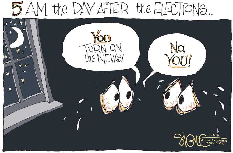 Political/Editorial Cartoon by Signe Wilkinson, Philadelphia Daily News on Record Turnout Expected