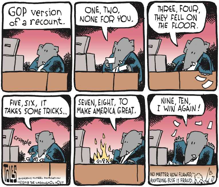 Political Cartoon on 'Recounts Underway' by Tom Toles, Washington Post ...