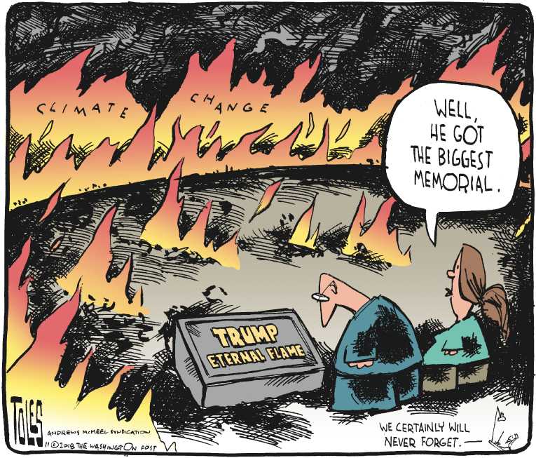 Political/Editorial Cartoon by Tom Toles, Washington Post on Wildfire Destroys Paradise