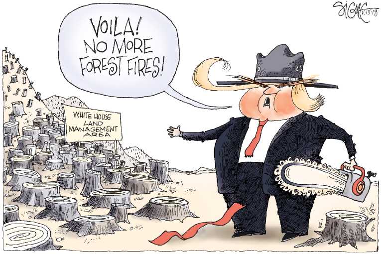 Political/Editorial Cartoon by Signe Wilkinson, Philadelphia Daily News on Wildfire Destroys Paradise