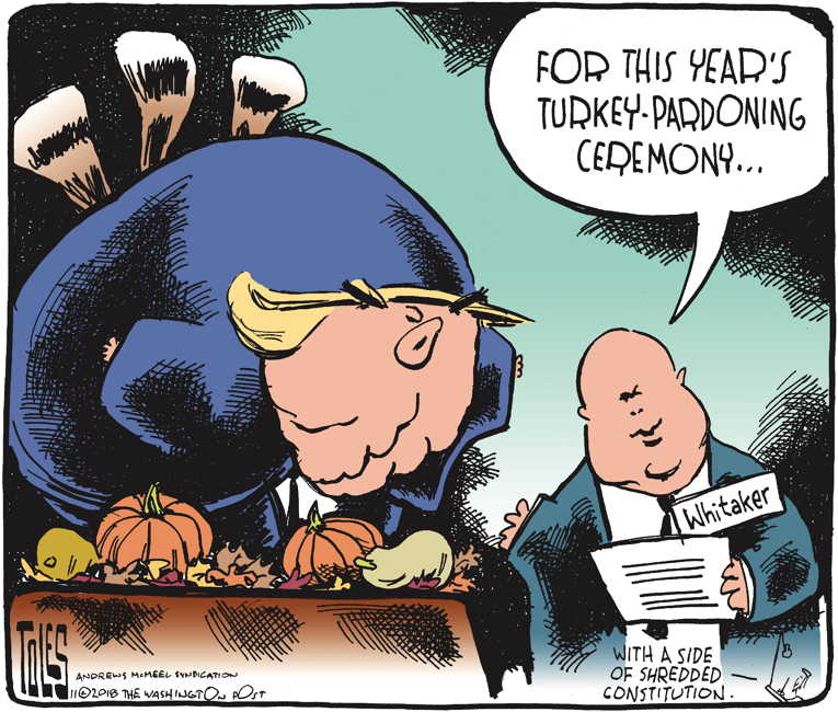 Political/Editorial Cartoon by Tom Toles, Washington Post on Trump Submits Written Answers