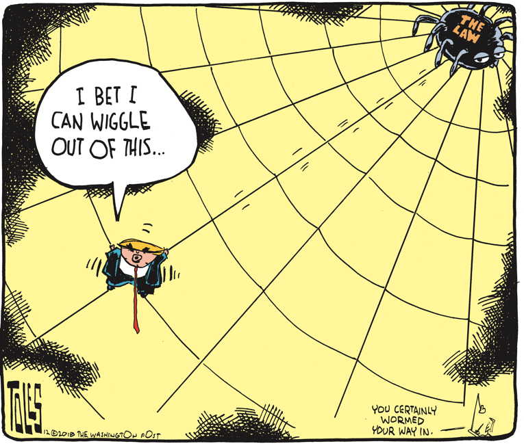 Political/Editorial Cartoon by Tom Toles, Washington Post on Trump Feeling the Heat