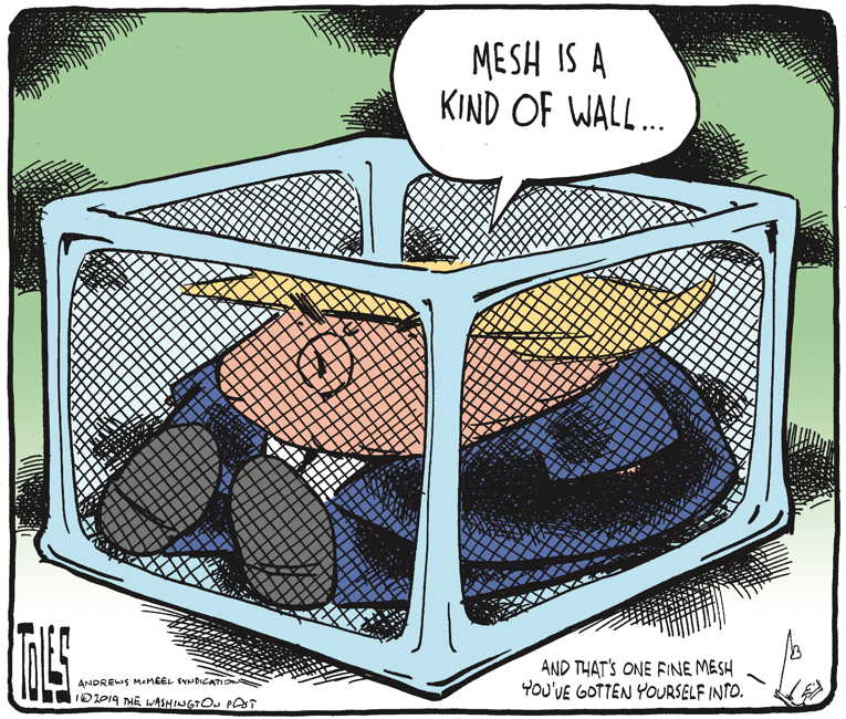 Political/Editorial Cartoon by Tom Toles, Washington Post on Trump Firm on Wall