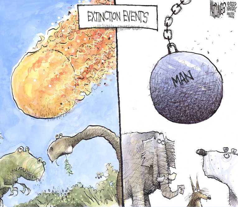 Political/Editorial Cartoon by Matt Davies, Journal News on Mass Extinction in Full Bloom