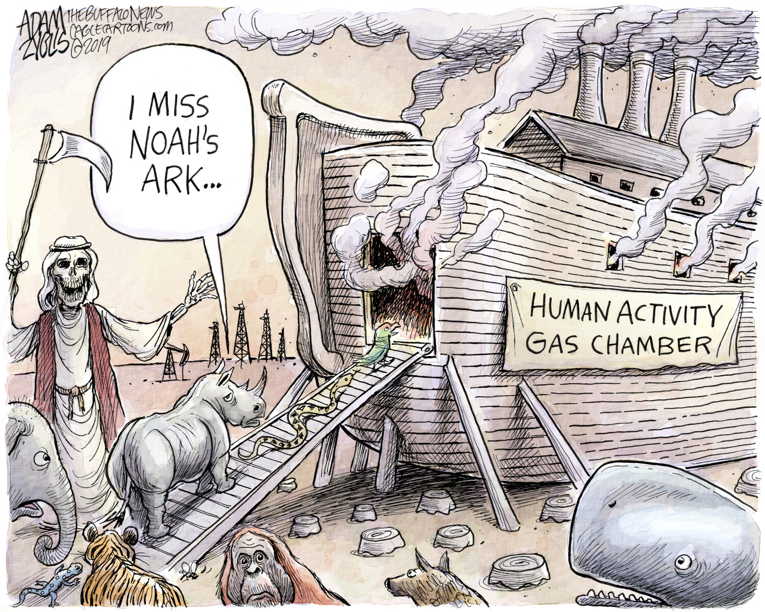 Political/Editorial Cartoon by Adam Zyglis, The Buffalo News on Mass Extinction Accelerating