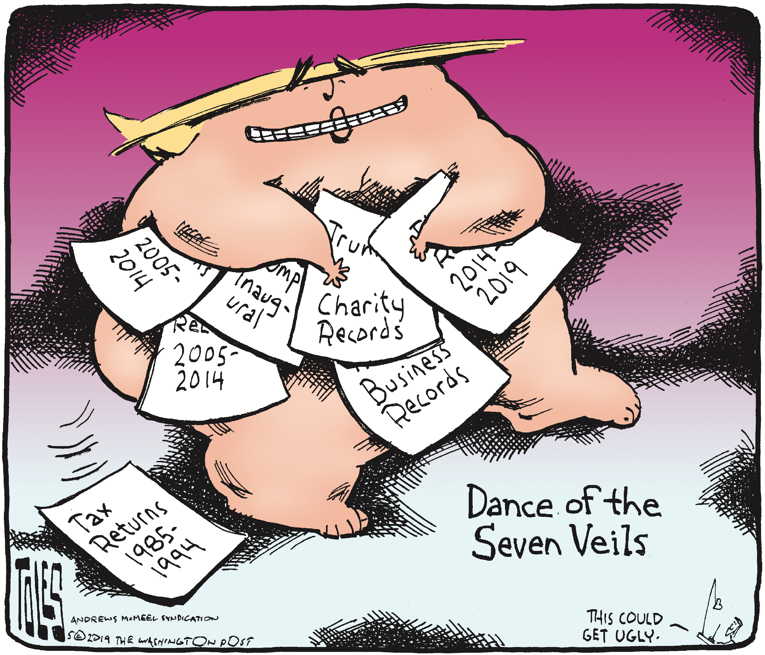 Political/Editorial Cartoon by Tom Toles, Washington Post on President Eyes 2020 Election