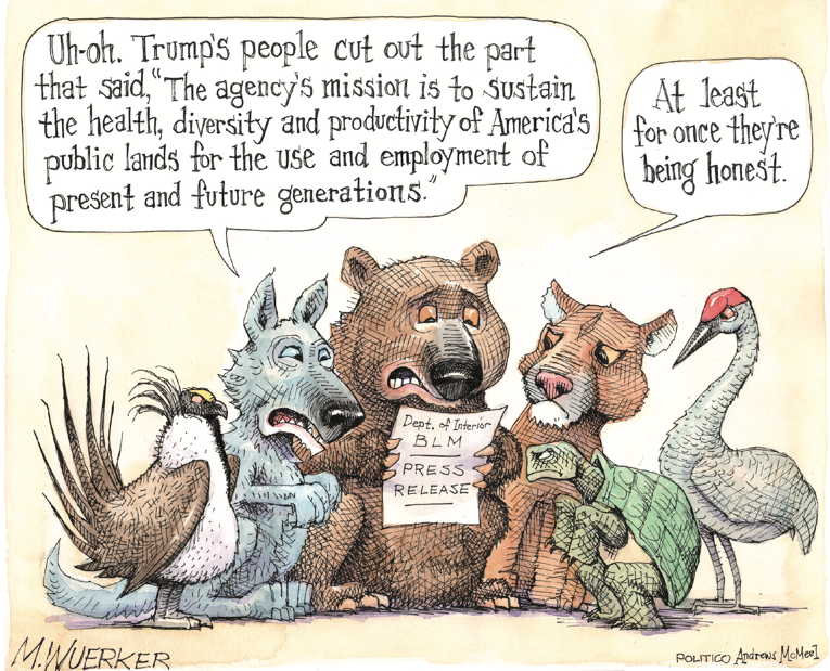 Political/Editorial Cartoon by Matt Wuerker, Politico on Extinction Event Accelerating