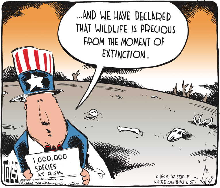 Political/Editorial Cartoon by Tom Toles, Washington Post on Environmental Laws Gutted