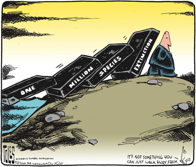 Political/Editorial Cartoon by Tom Toles, Washington Post on In Other News