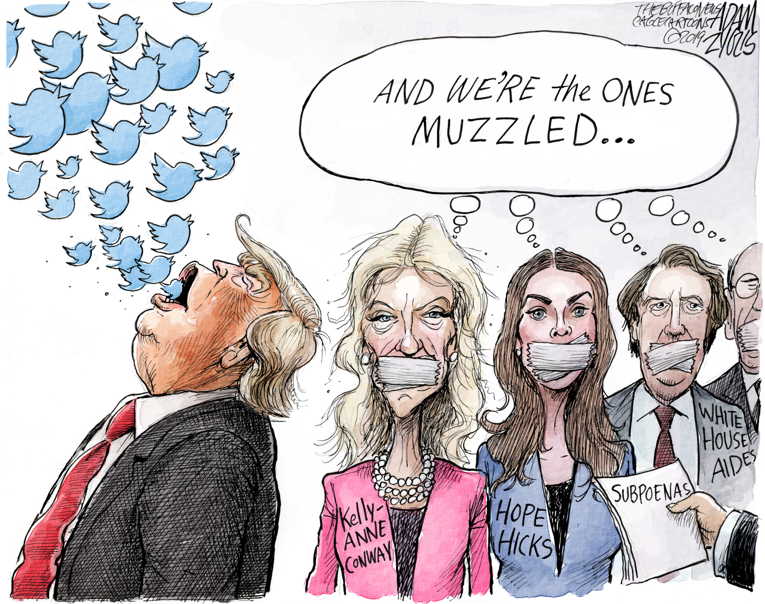 Political/Editorial Cartoon by Adam Zyglis, The Buffalo News on Trump Stonewalling Congress