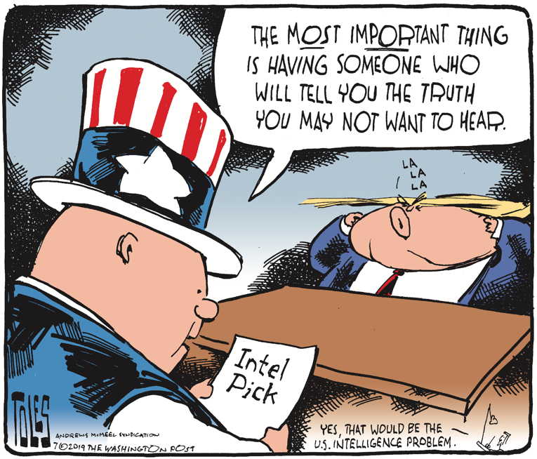 Political/Editorial Cartoon by Tom Toles, Washington Post on President Cites Article II