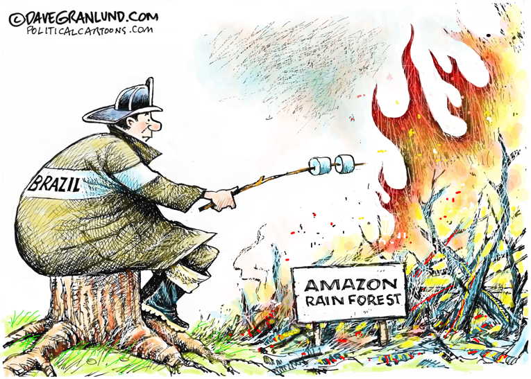 Political/Editorial Cartoon by Dave Granlund on Amazon Rainforest Burning