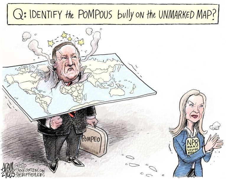 Political/Editorial Cartoon by Adam Zyglis, The Buffalo News on Mike Pompeo Is a Dick