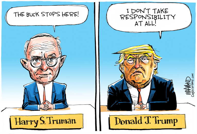 Political/Editorial Cartoon by Dave Whamond, Canada, PoliticalCartoons.com on President Lauds Trump’s Response