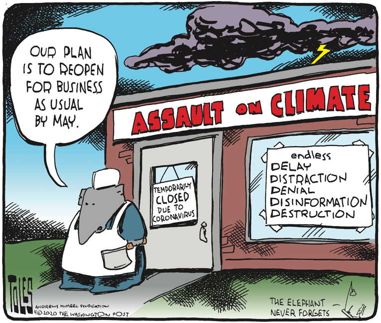 Political/Editorial Cartoon by Tom Toles, Washington Post on In Other News