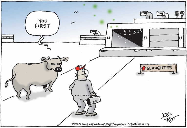 Political/Editorial Cartoon by Joel Pett, Lexington Herald-Leader, CWS/CartoonArts Intl. on Many States Reopening