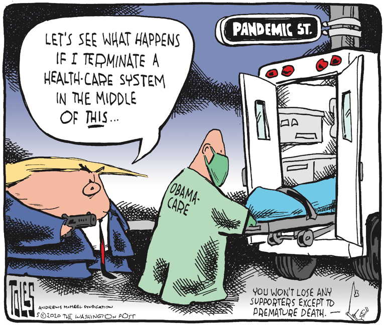 Political/Editorial Cartoon by Tom Toles, Washington Post on Trump: “We Have Prevailed”