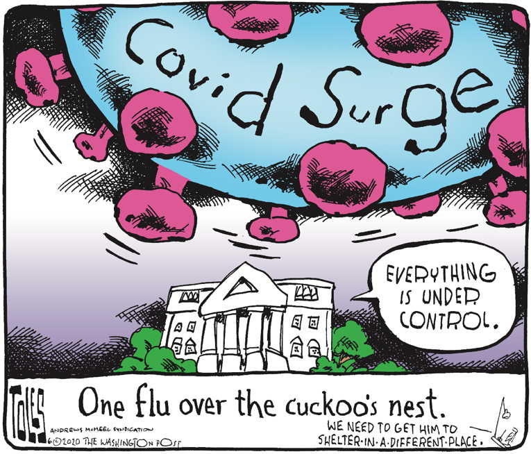 Political/Editorial Cartoon by Tom Toles, Washington Post on President Bemoans Testing