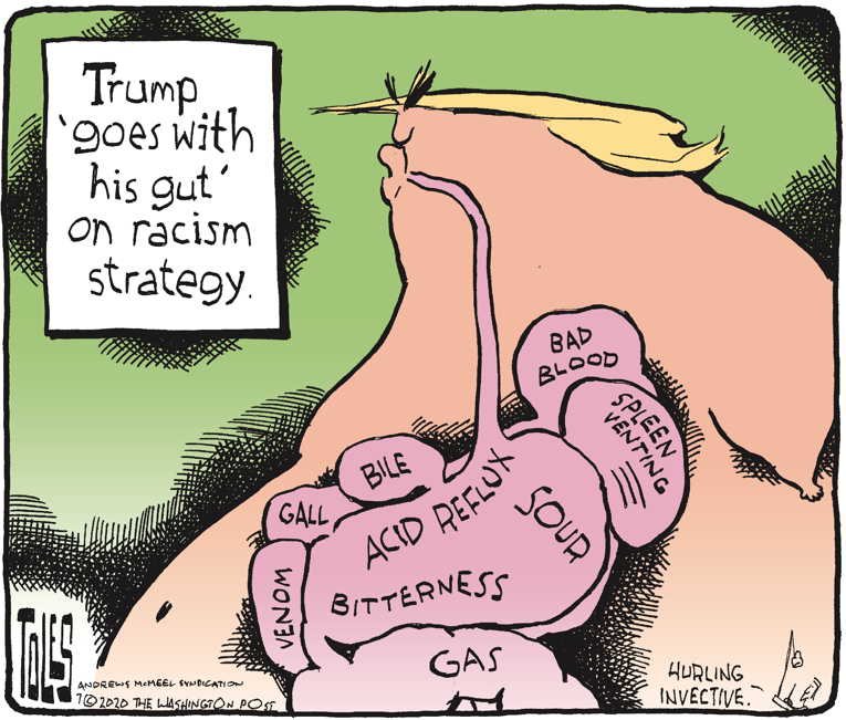 Political/Editorial Cartoon by Tom Toles, Washington Post on President Doubles Down