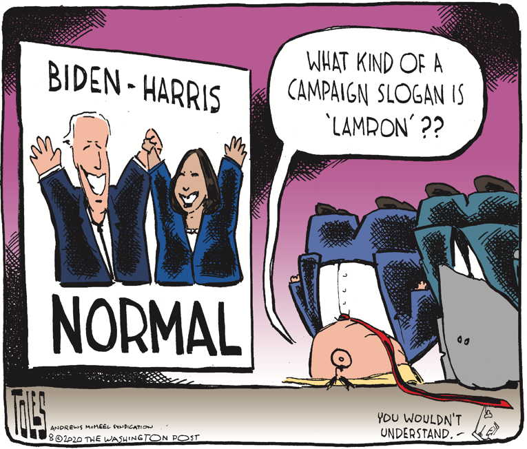 Political/Editorial Cartoon by Tom Toles, Washington Post on Biden Picks Kamala Harris