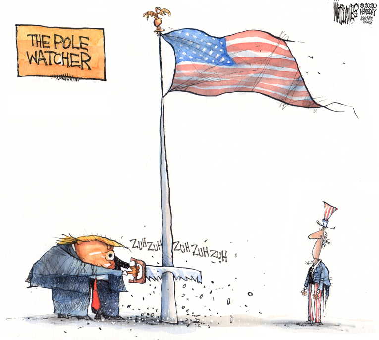 Political/Editorial Cartoon by Matt Davies, Journal News on Trump Revitalizes Base