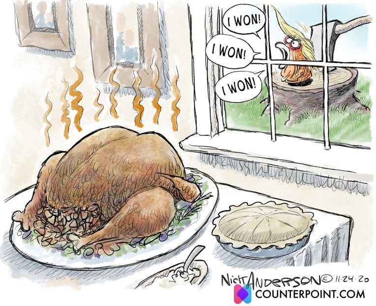 Political/Editorial Cartoon by Nick Anderson, Houston Chronicle on Americans Observe Holiday