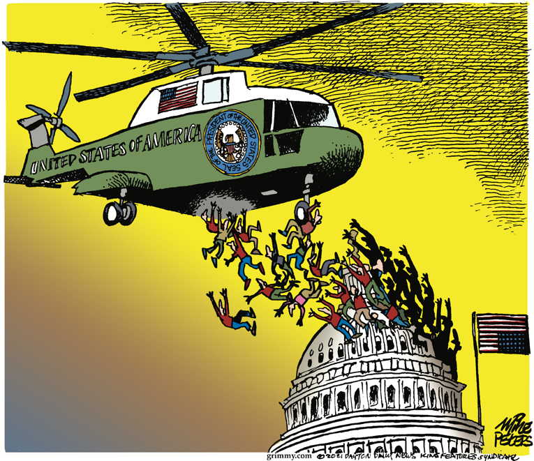 Political/Editorial Cartoon by Mike Peters, Dayton Daily News on Capitol Building Attacked