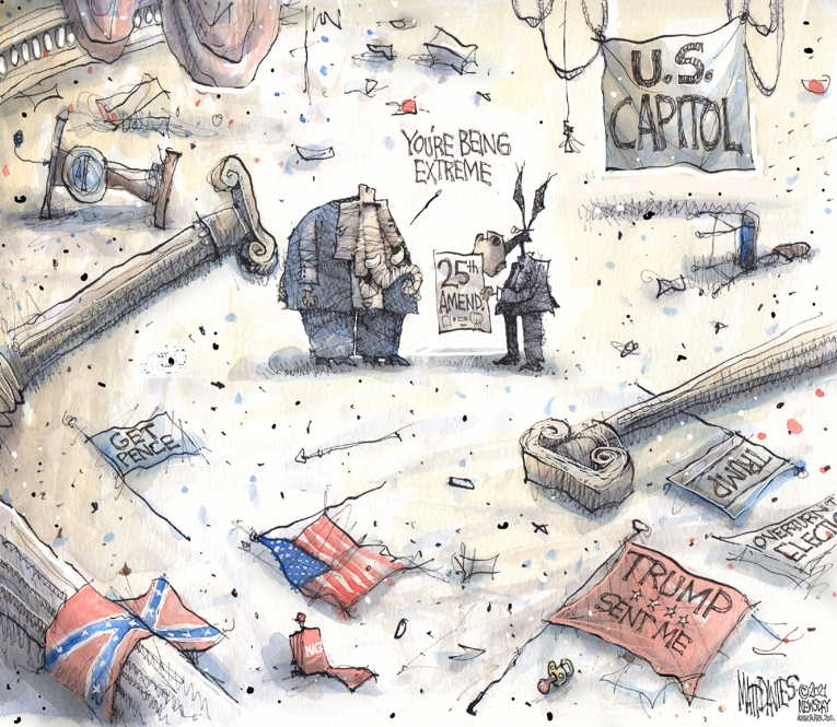 Political/Editorial Cartoon by Matt Davies, Journal News on Siege Ends, Biden Win Certified