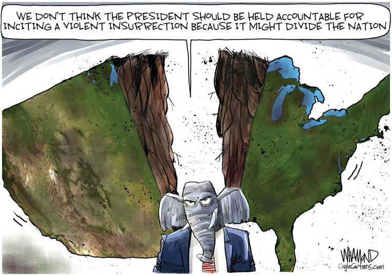Political/Editorial Cartoon by Dave Whamond, Canada, PoliticalCartoons.com on Siege Ends, Biden Win Certified