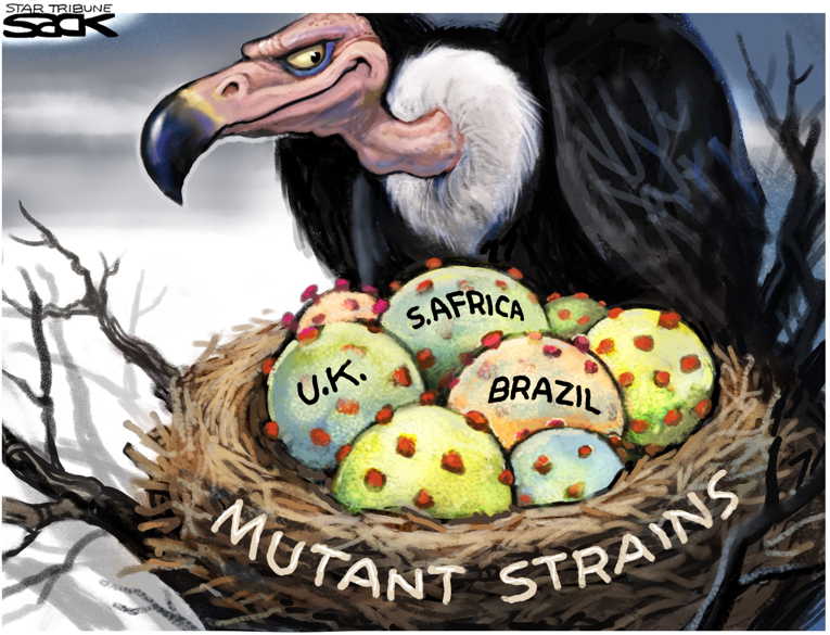 Political/Editorial Cartoon by Steve Sack, Minneapolis Star Tribune on U.S. Covid Deaths Top 420,000