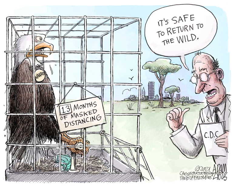 Political/Editorial Cartoon by Adam Zyglis, The Buffalo News on Covid Restrictions Eased