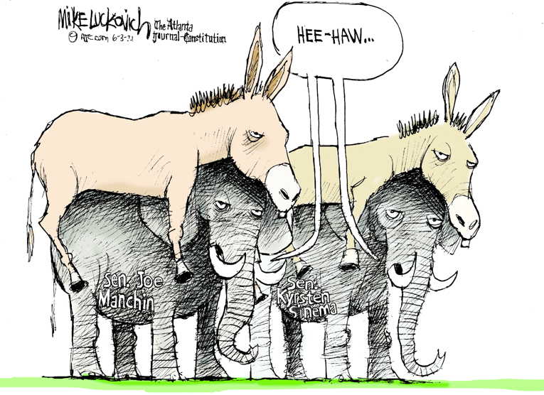 Political/Editorial Cartoon by Mike Luckovich, Atlanta Journal-Constitution on Democrats Fail Again