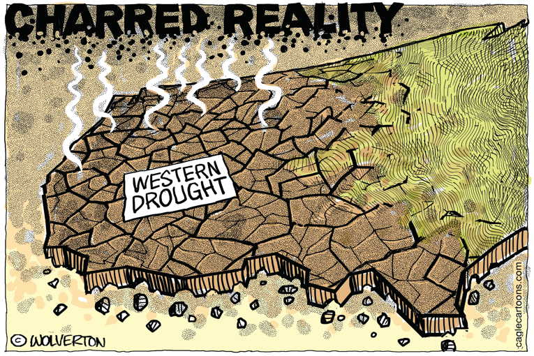 Political/Editorial Cartoon by Monte Wolverton, Cagle Cartoons on Planet Burning Up