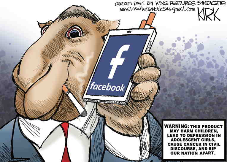 Political/Editorial Cartoon by Kirk Walters, Toledo Blade on Facebook Changes Its Name