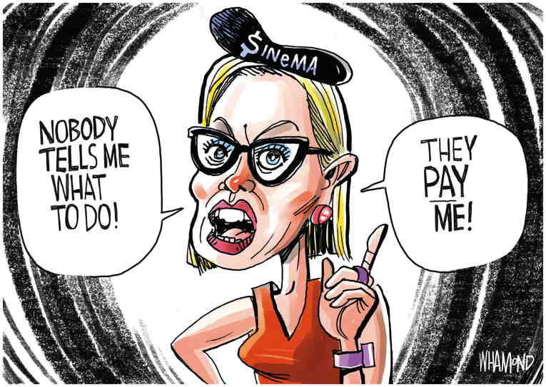 Political/Editorial Cartoon by Dave Whamond, Canada, PoliticalCartoons.com on Manchin, Sinema Side With GOP