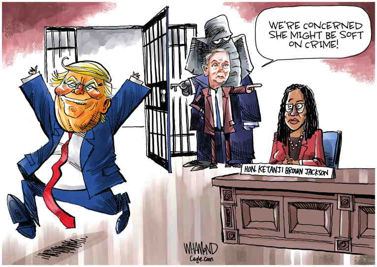 Political/Editorial Cartoon by Dave Whamond, Canada, PoliticalCartoons.com on Biden Nominee to Be Confirmed