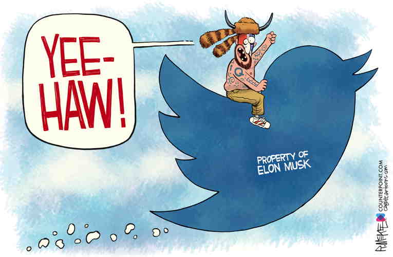 Political/Editorial Cartoon by Rick McKee, The Augusta Chronicle on Elon Musk Siezes Twitter