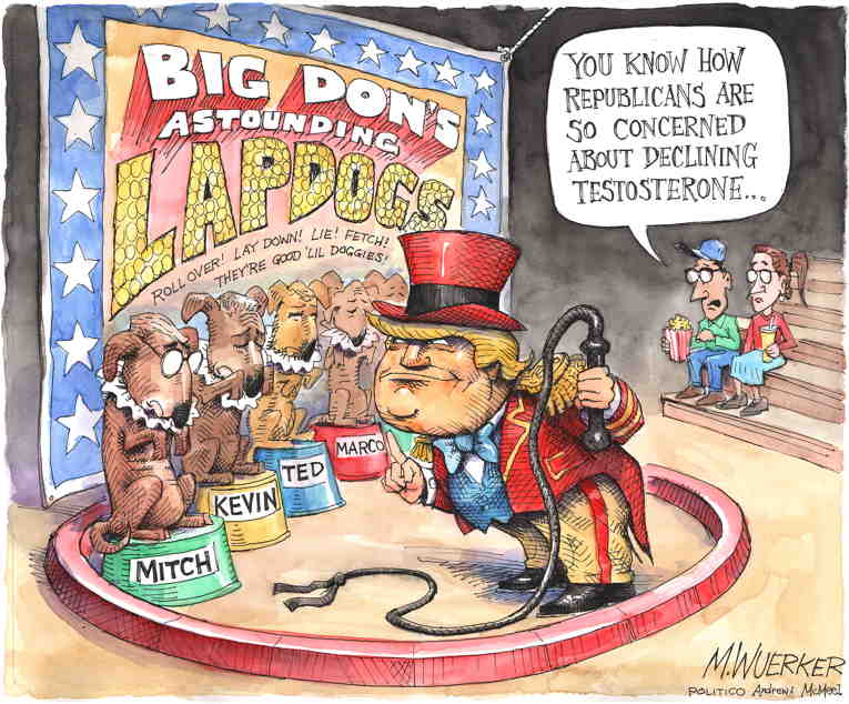 Political/Editorial Cartoon by Matt Wuerker, Politico on Trump Circus Continues