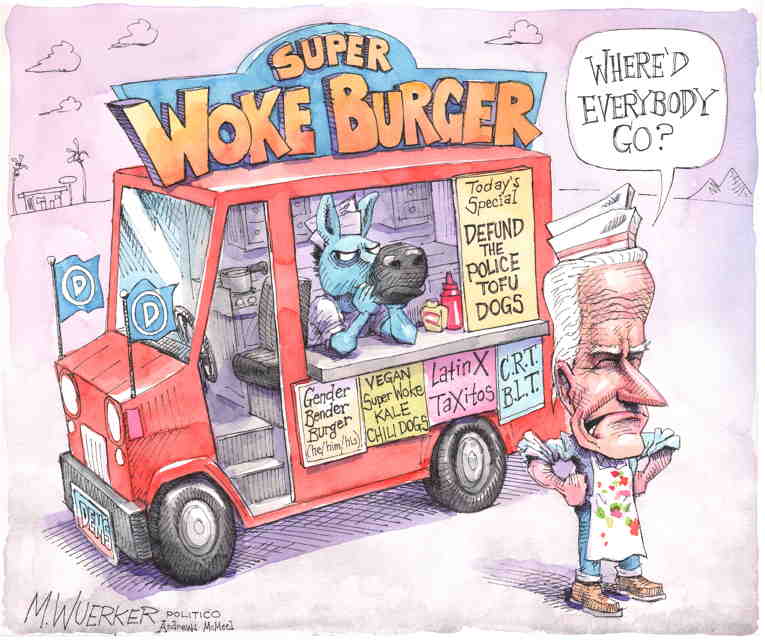 Political/Editorial Cartoon by Matt Wuerker, Politico on Biden Under Siege