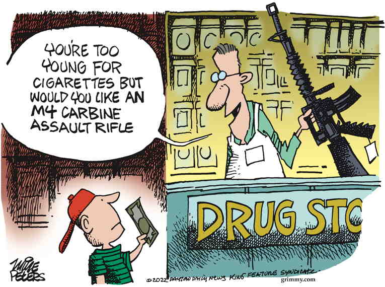 Political/Editorial Cartoon by Mike Peters, Dayton Daily News on Gun Legislation Discussed