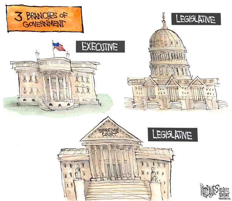 Political/Editorial Cartoon by Matt Davies, Journal News on Zealots Seize Supreme Court