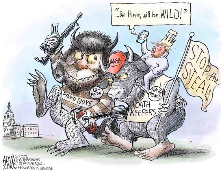 Political/Editorial Cartoon by Adam Zyglis, The Buffalo News on Top Insurrectionist Identified