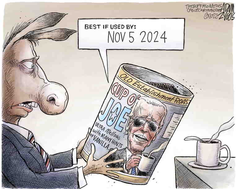 Political/Editorial Cartoon by Adam Zyglis, The Buffalo News on Biden’s Popularity Sinks
