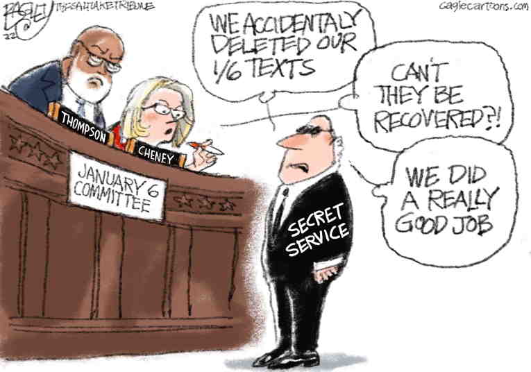 Political/Editorial Cartoon by Pat Bagley, Salt Lake Tribune on Secret Service Aided Coup Attempt