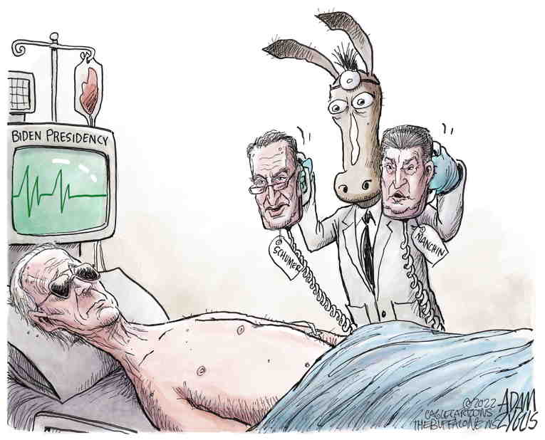 Political/Editorial Cartoon by Adam Zyglis, The Buffalo News on Manchin Shocks All