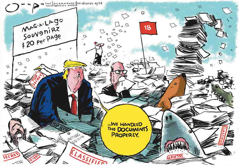 Political/Editorial Cartoon by Jack Ohman, The Oregonian on Trump Crisis Worsens