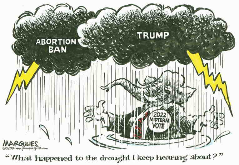 Political/Editorial Cartoon by Jimmy Margulies, King Features on Abortion Bans Become Key Issue