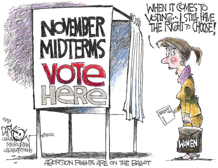 Political Cartoon on 'Abortion Bans Become Key Issue' by John Darkow ...